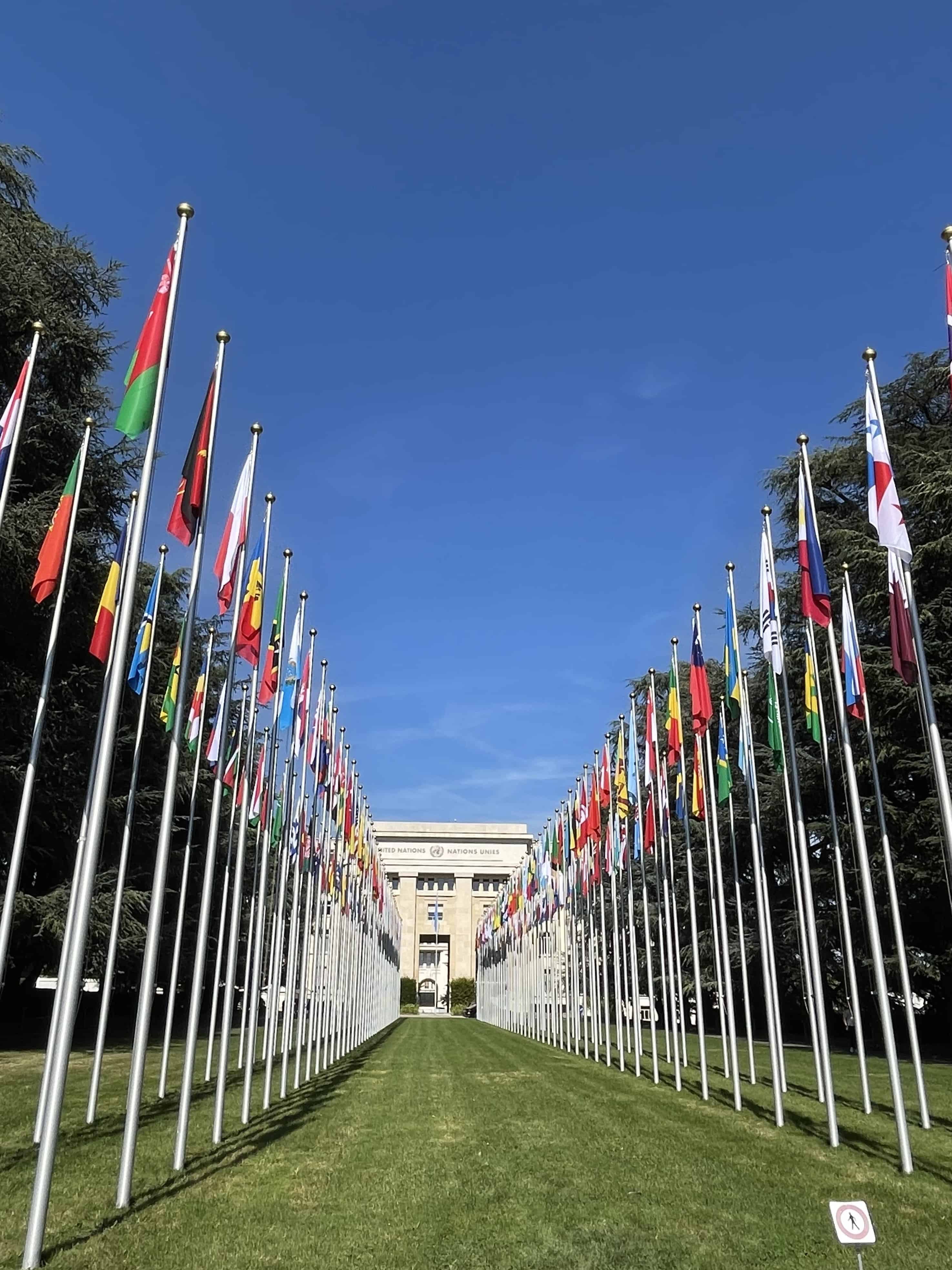 United Nations and country flags